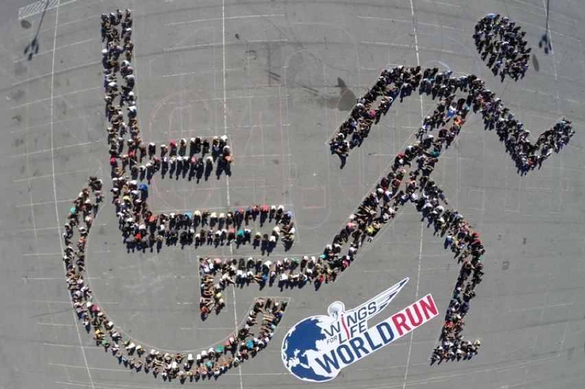 Wings for Life World Run