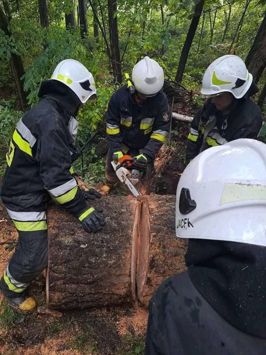 Strażacy usuwają skutki nawałnicy nad powiatem bełchatowskim