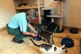 16-letni Karol, który nakręcił film "Kot kaskader", opiekuje się zwierzętami w schronisku