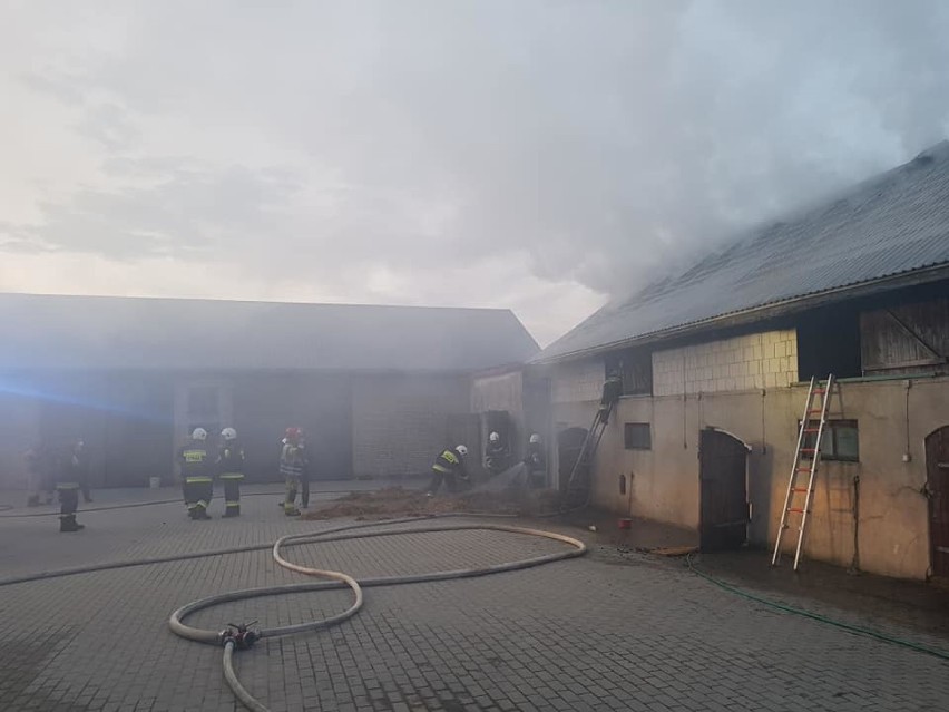 Druhowie z Ochotniczej Straży Pożarnej w Potaszni wyjeżdżali do pożaru obory we wsi Jemieliste