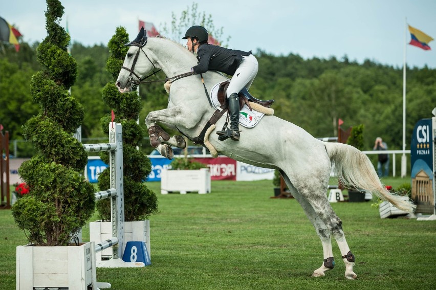 VIII Memoriał Macieja Frankiewicza, CSI4* Poznań