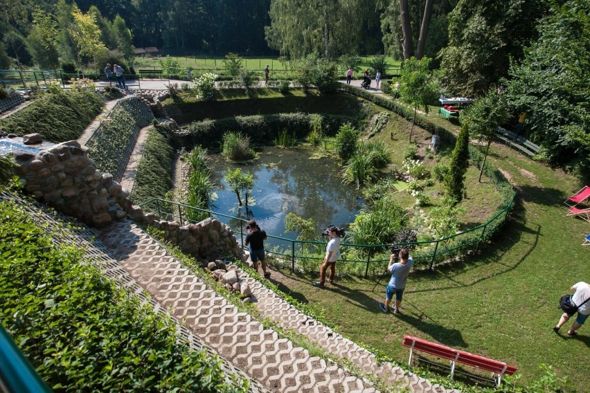 Zoo w Gdańsku. Otwarcie nowej atrakcji - wodospadu, 2.08.208