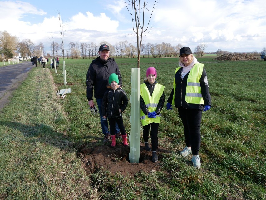 Posadzili 150 drzew z okazji 150-lecia Banku Spółdzielczego w Grodzisku Wielkopolskim