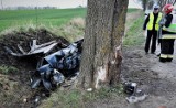 Policjanci badali okoliczności śmiertelnego wypadku w Bałdowie niedalekoTczewa [ZDJĘCIA]
