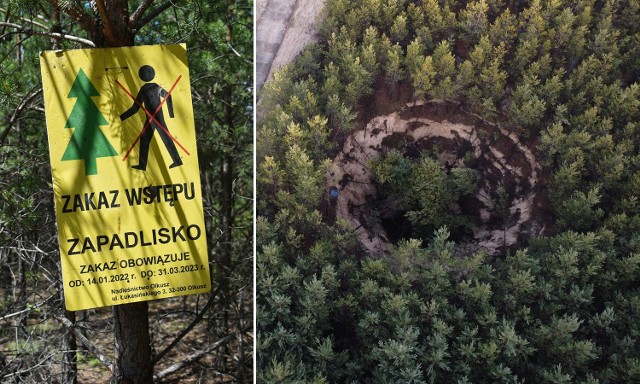 Zakaz wstępu do lasów powiatu olkuskiego zostanie przedłużony