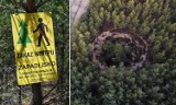 Zakaz wstępu do lasów powiatu olkuskiego zostanie przedłużony. Zapadliska nadal stwarzają zagrożenie. ZDJĘCIA