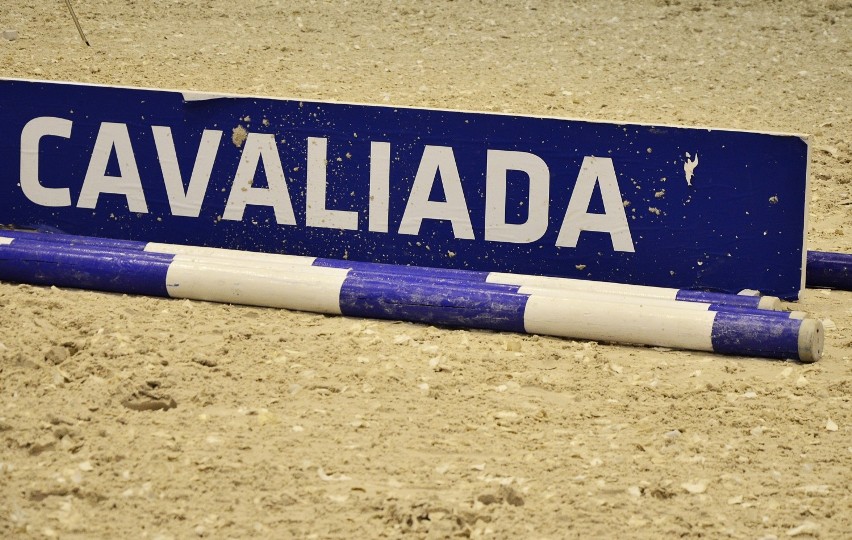 Cavaliada 2013