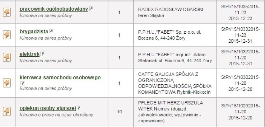 Aktualne oferty pracy w Żorach: Sprawdź, jakie są i ile można zarobić