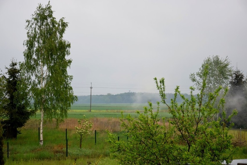 # bądźmyrazem "Od rana do wieczora" - galeria czytelników [Zdjęcia]