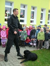 Gabadyn w Służbie. Czworonożny funkcjonariusz wkrótce zacznie służbę [ZDJĘCIA]