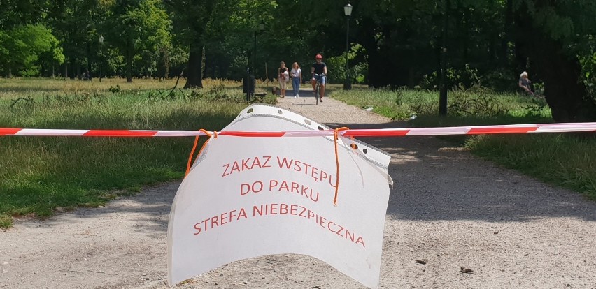 Większość miejskich parków nie ma ogrodzenia, zatem...