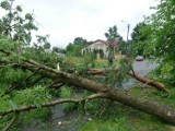 Rozmowa z Eugeniuszem Szwedem, kierownikiem Biura Prognoz Meteorologicznych