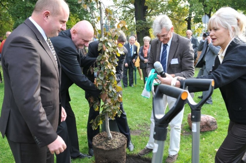 10-lecie konferencji "Zieleń - naturalne bogactwo miasta"...