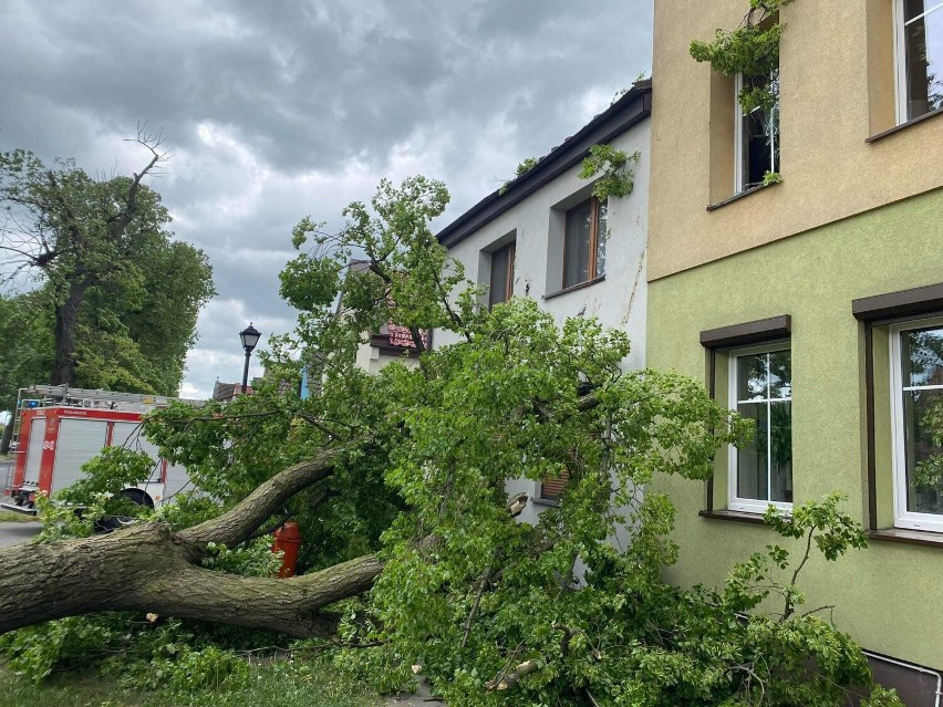 Powiat chodzieski: 15 interwencji straży pożarnej z powodu silnego wiatru