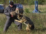 Policyjny pies z Wieruszowa i jego przewodnik rywalizują z najlepszymi