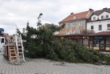 Niż Daniel w Kujawsko-Pomorskiem. Wichura łamie drzewa, zrywa blaszane garaże