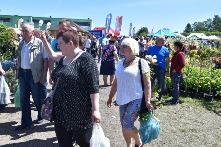 Kaszubska Jesień Rolnicza - rośliny, aromatyczne potrawy i nowoczesny sprzęt