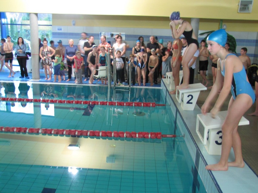 Otwarte Mistrzostwa Gminy Stegna w Pływaniu