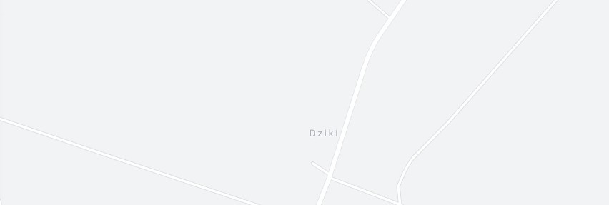 Dziki