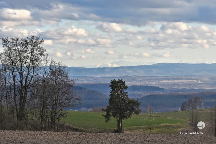 Zielone Piekło, cuda na Bednarzach i ostatni Krzyk w Rybnej. Idealne miejsce na weekend