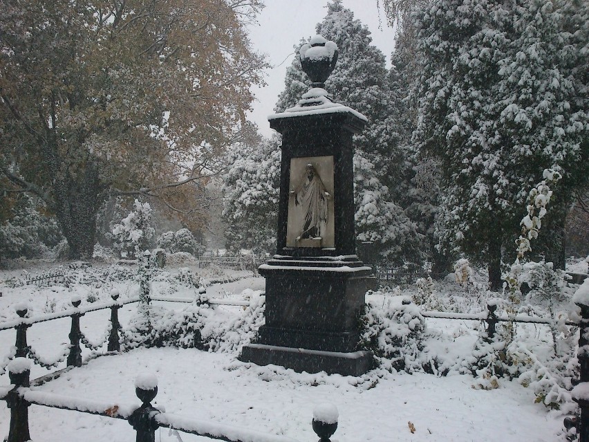Zdjęcia Starego Cmentarza pod śniegiem