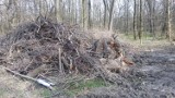 Wycinają las! Biurowce na Muchowcu przy Parku Leśnym? To bulwersujące [ZDJĘCIA]