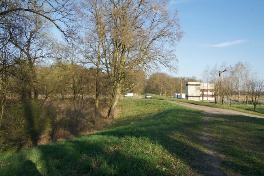 Okolice wsi Bobrowniki w gminie Otyń