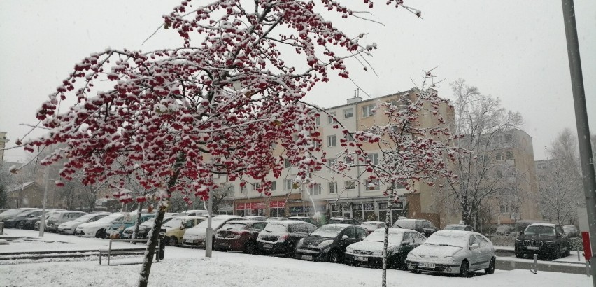 Pierwszy śnieg w Pruszczu Gdańskim. Biało zrobiło sie na ulicach. Zobaczcie zdjęcia!