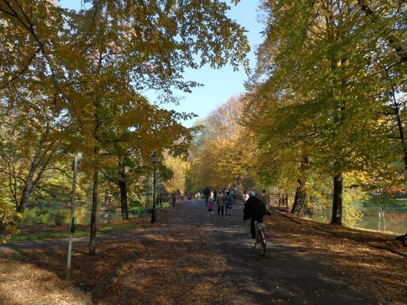 Park w Pszczynie jesienią wygląda wyjątkowo. Zobaczcie sami