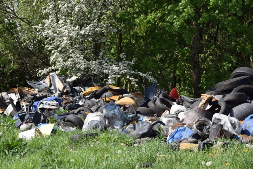 Milion zł kary dla mieszkańca za nielegalne składowisko odpadów [ZDJĘCIA]