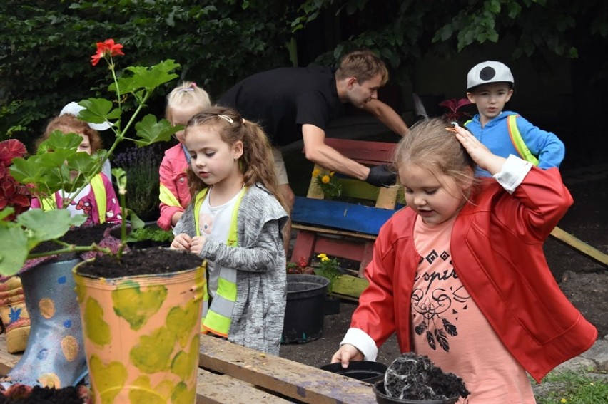 Legnickie przedszkolaki tworzyły mini ogródki w palmiarni [ZDJĘCIA]