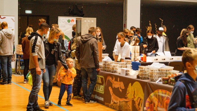 Targi Terra Expo w Toruniu to okazja do zobaczenia wielu gatunków gadów, płazów, ryb i bezkręgowców, a także możliwość rozmów z ekspertami ds. hodowli i sprzętu