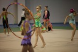 Puchar Srebrnego Sokoła w gimnastyce artystycznej: Niesamowite młode gimnastyczki [ZDJĘCIA]