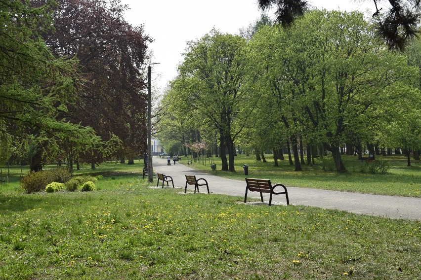 Park Modrzewie