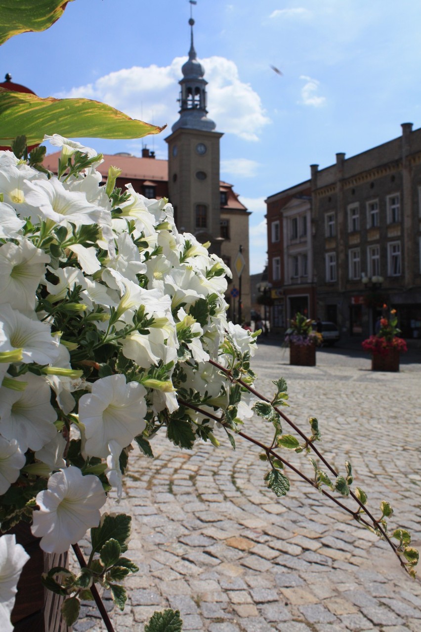 Rynek w Boguszowie-Gorcach tonie w kwiatach