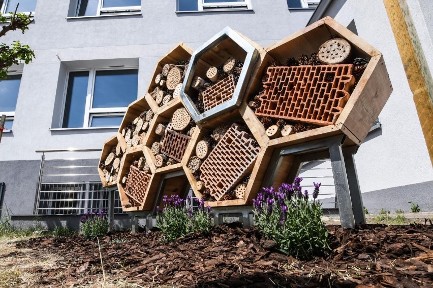 Taki wspaniały hotel dla pszczół zaprojektowali i...