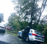 Silny wiatr w powiecie zawierciańskim. Strażacy mają dużo pracy FOTO