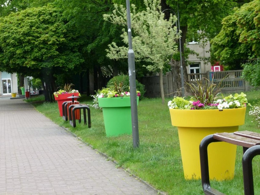 Wiszące i stojące donice z kwiatami pojawiły się w centrum Zduńskiej Woli