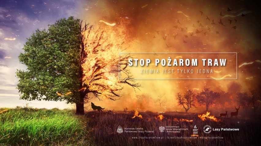 Międzychodzcy strażacy przypominają: - "STOP POŻAROM TRAW".