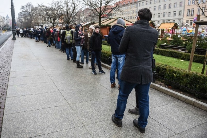 Świąteczne drzewka można było dostać na placu Wolności