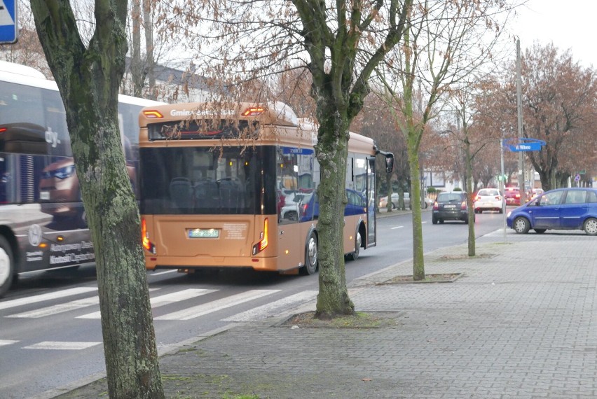 Autobusy w gminie Bełchatów wyruszyły w trasę. Ruszył transport na trzech liniach