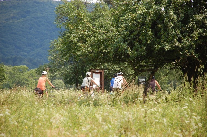 Turyści w Magurskim Parku Narodowym