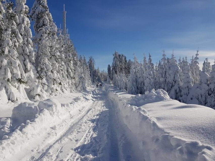 Beskid Sądecki. Zimowa Przehyba zachęca do spacerów [ZDJĘCIA]