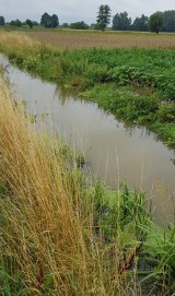 Kanały zarosły, a woda zalewała już pola w powiecie chełmińskim. Co zawiodło?