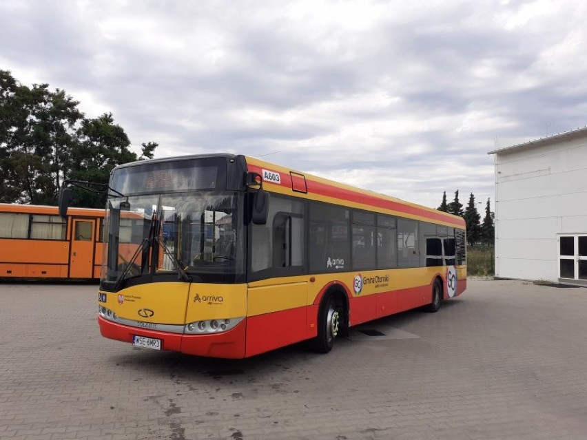 Nowe autobusy Arriva wyjadą na obornickie drogi