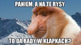Szpilki nad Morskim Okiem, kolejka na Rysy, czyli Janusz na wakacjach w górach. Zobaczcie najlepsze memy!
