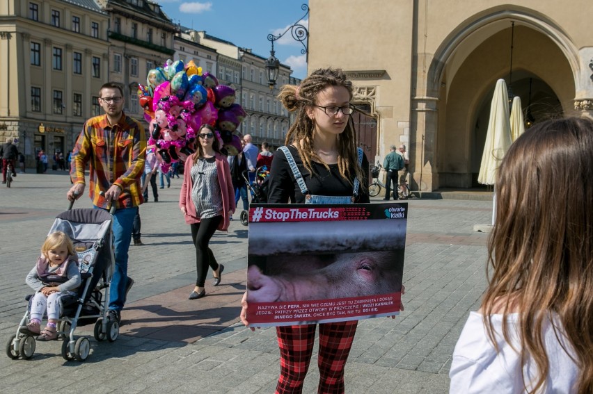 Protest Stowarzyszenia Otwarte Klatki [ZDJĘCIA]