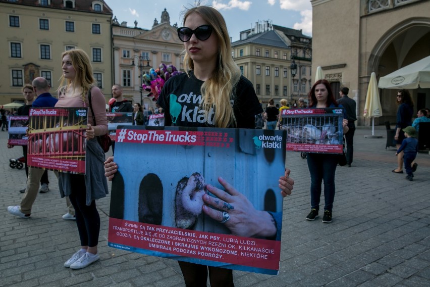 Protest Stowarzyszenia Otwarte Klatki [ZDJĘCIA]