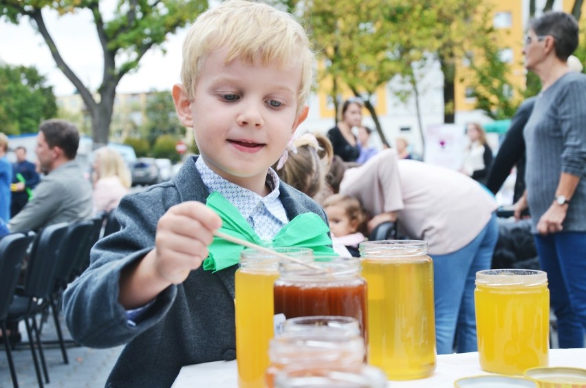 Powiatowy Dzień Miodu w Bełchatowie. Jakie atrakcje czekały na Eko-Pikniku? [ZDJĘCIA]