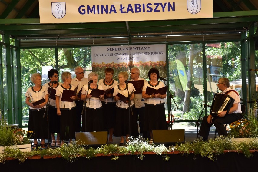 VII Łabiszyńskie Spotkanie Seniorów [zdjęcia, wideo] 